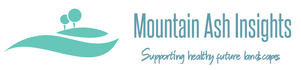 MOUNTAIN ASH INSIGHTS
